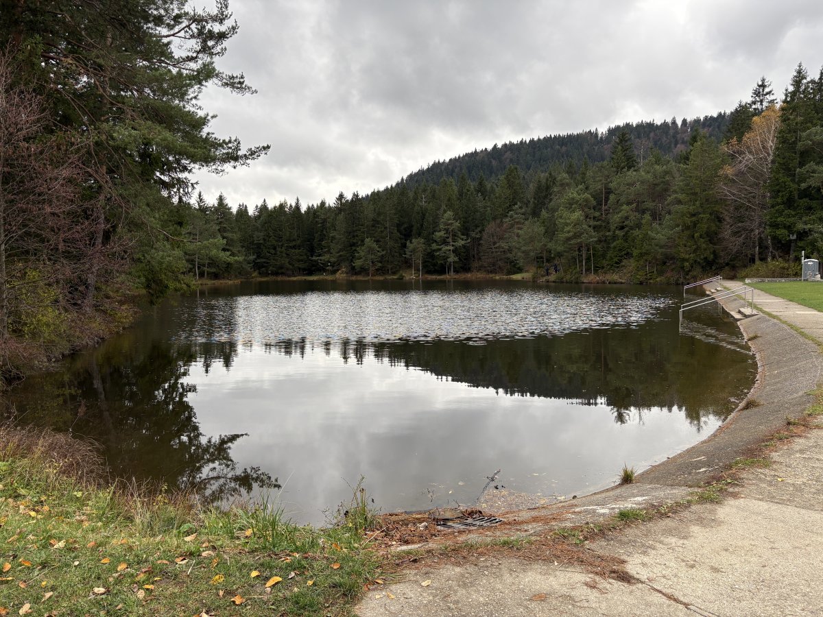 We imagine Rakitna Lake is a very popular summer swimming spot on the forest road to Cerknica and back to the Lodge.. We imagine Rakitna Lake is a very popular summer swimming spot on the forest road to Cerknica and back to the Lodge..