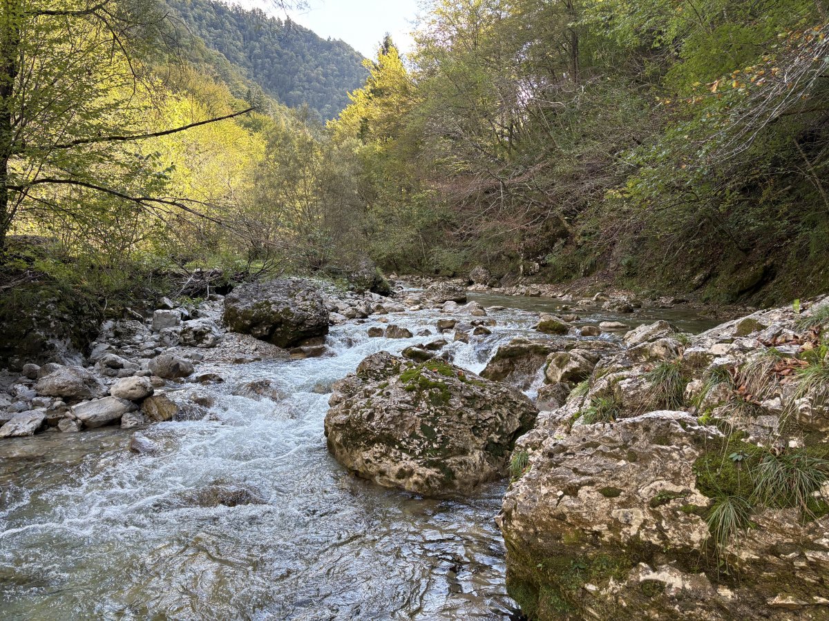 Are you a rock in the river or a pebble on the beach? Are you a rock in the river or a pebble on the beach?