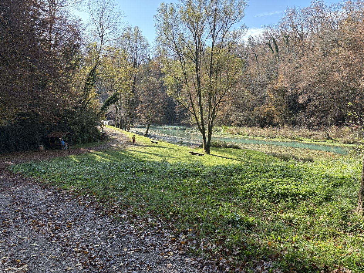 As you walk down the hill from the car park this is the exciting Green Scene that meets you..