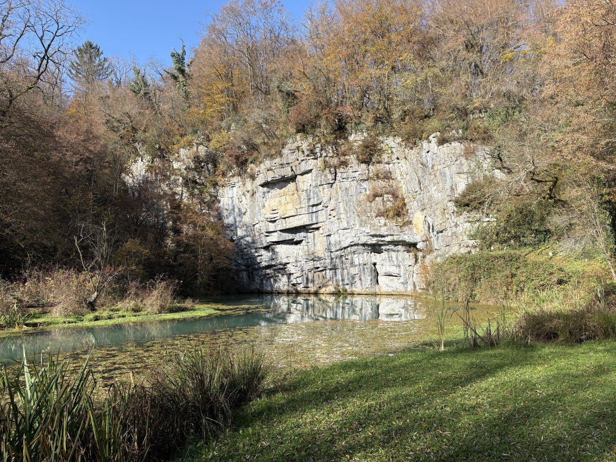This is a giant Karst Spring and ALL the water in this mini region flows underground to here, then pops up to form the new Krupa river..