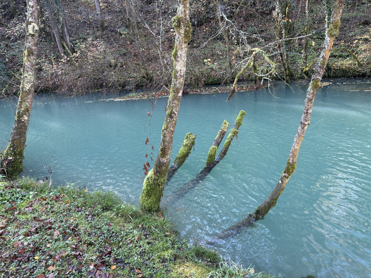 The Krupa river, just magical..