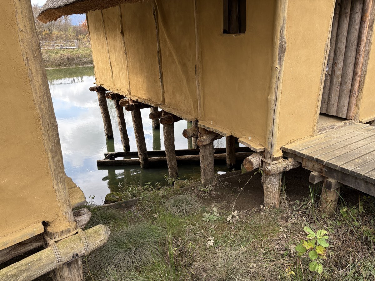 They were not kidding when they described these as pile dwellings and check out the log boat below..