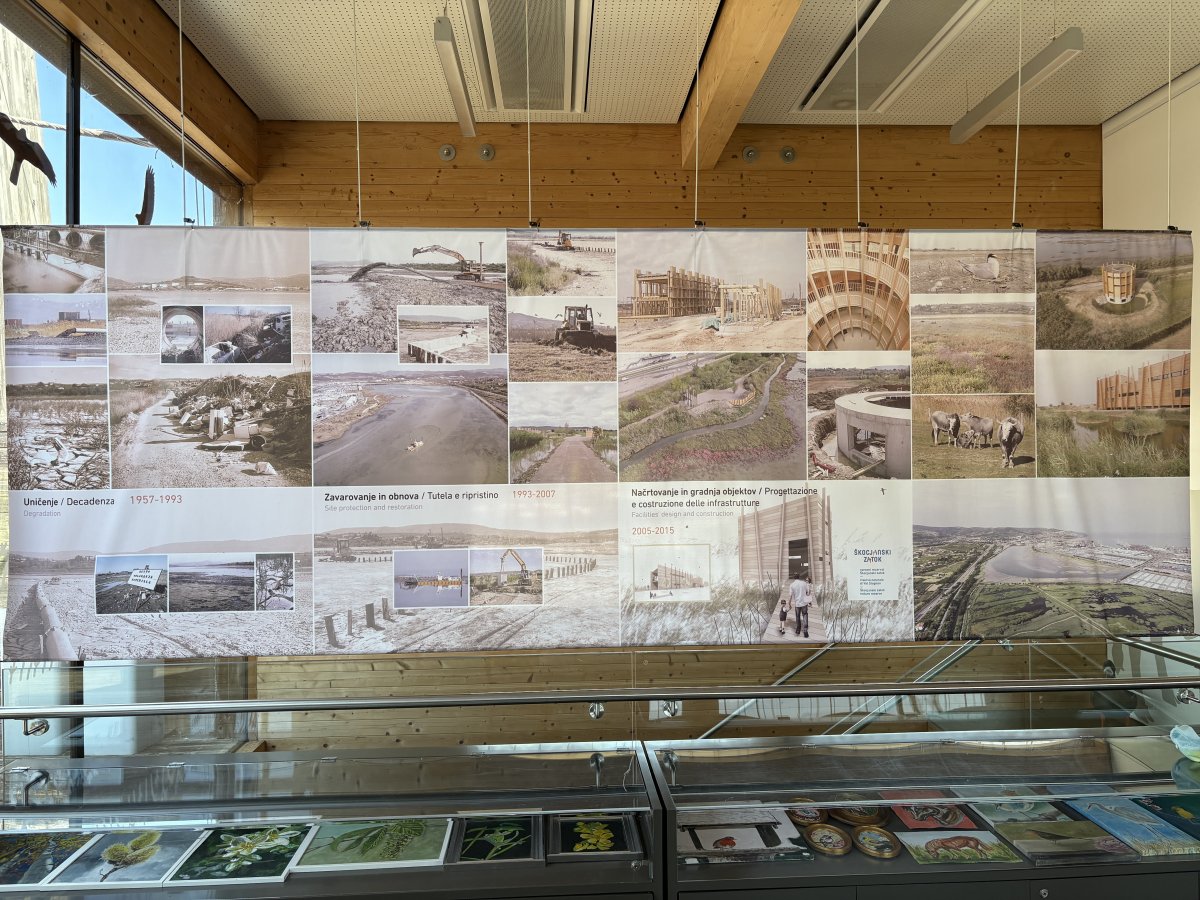Don't forget to go upstairs above the cafe to see how this was all done and some more great views.. Don't forget to go upstairs above the cafe to see how this was all done and some more great views..
