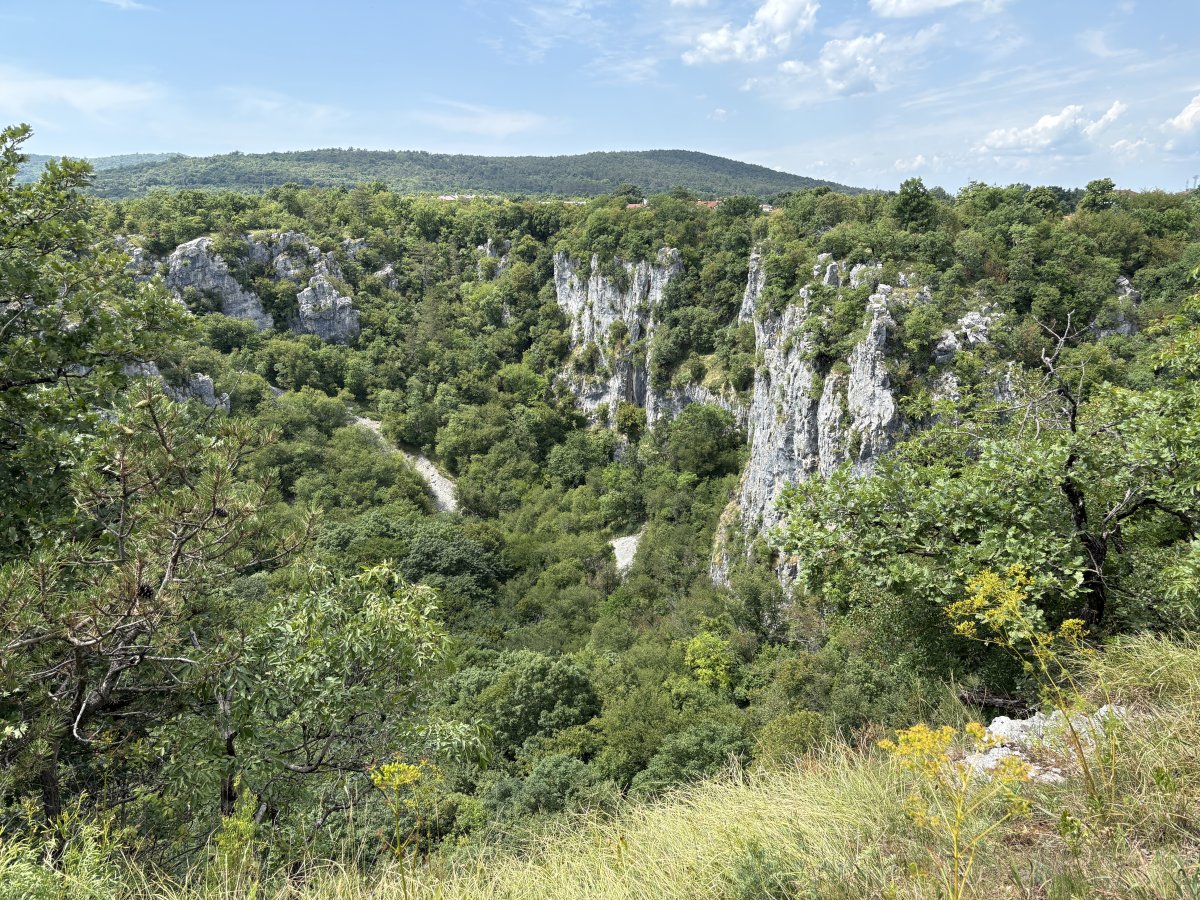 You will not believe this enormous green Karst crater exits until you see it with your own eyes..