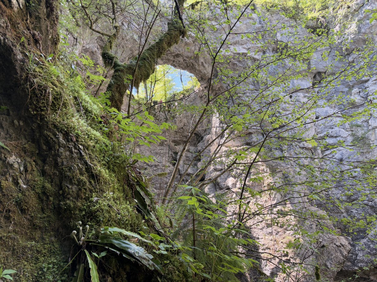 The Rakov Skocjan Little Bridge Arch creates this eye in the sky in the sheer Karst cliff walls..