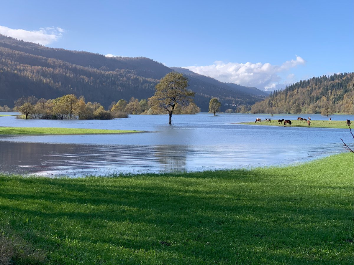 This disappearing lake at Planina, 15 mins from the Lodge, is bigger than lakes Bled & Bohinj put together.. when it decides to appear..