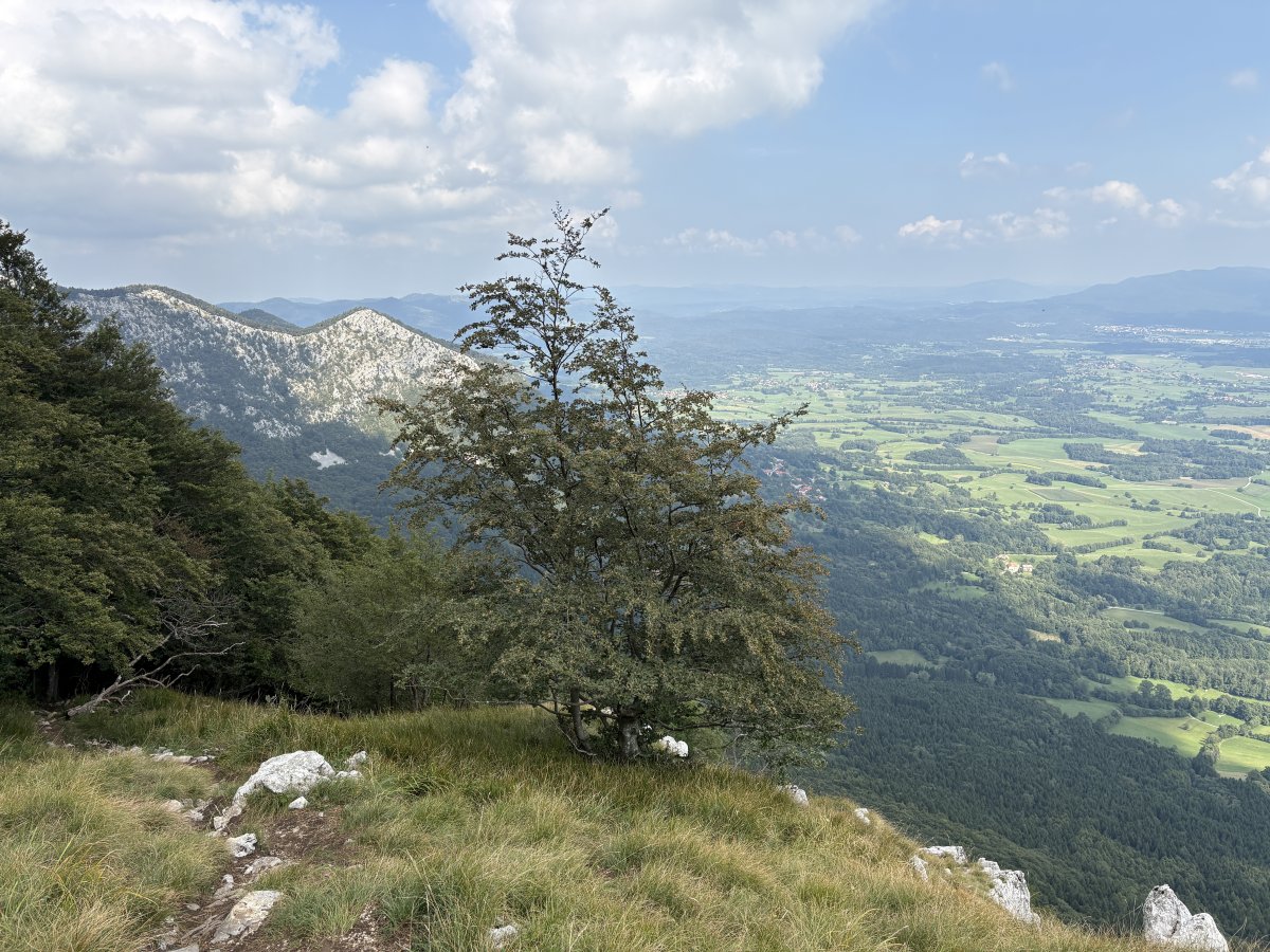 You can see Venice, the Vipava Valley, the Coast, the Red Karst and the other 3 Slovenian Alps from the top of Nanos on a good day.. The Lodge is snuggled down there on the Green Karst side of the mountain, 10 mins from the main motorway to the Coast..