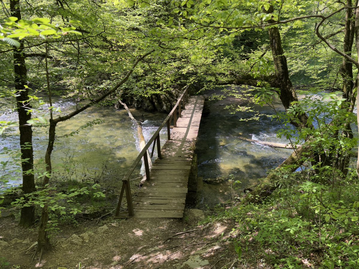 This bridge crosses the River of 7 Names in a secret nature park just 20 mins from the Lodge..
