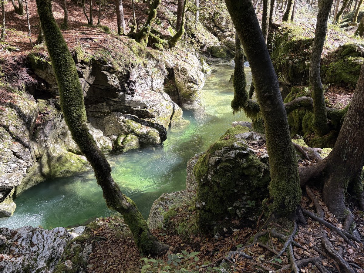 NEW Flights from Manchester to Slovenia