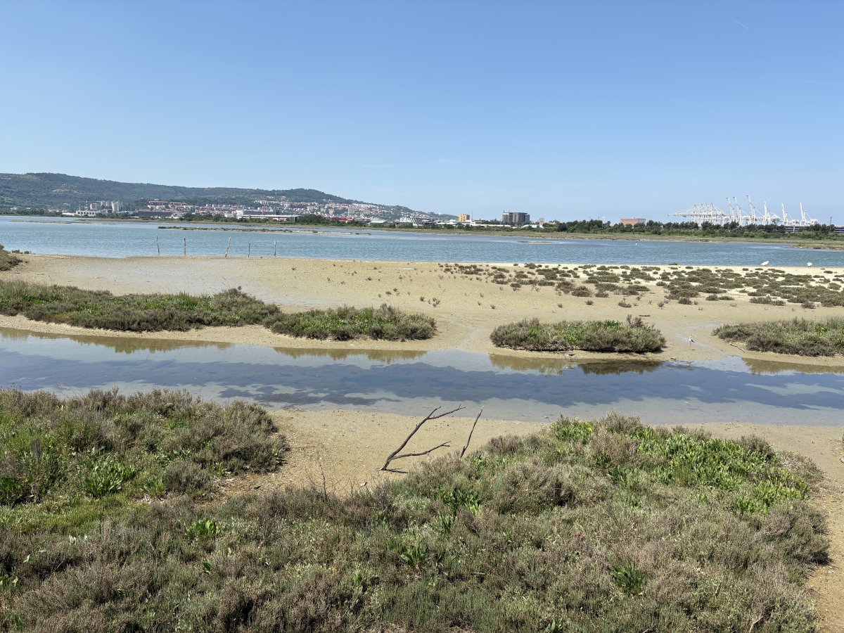 A fab hidden marine nature park nestled in next to a container port on the coast..
