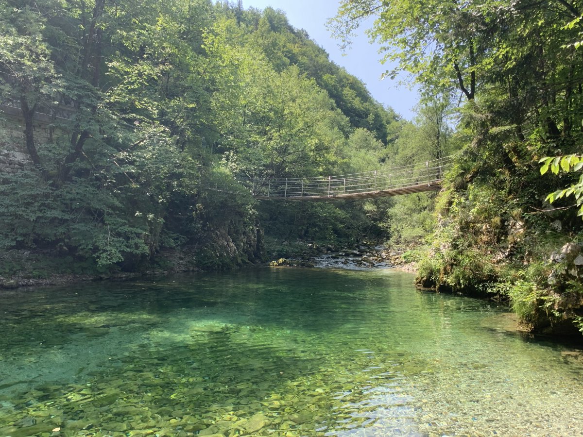 You really do need to come see the Bela Idrija River..