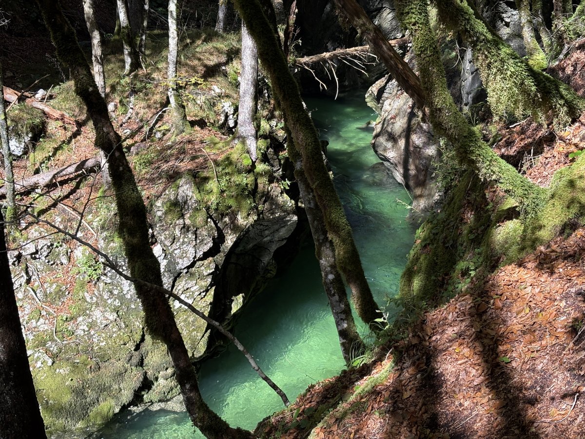 All bets are off for the best gorge in Green Slovenia when you go see Mostnica Gorge..