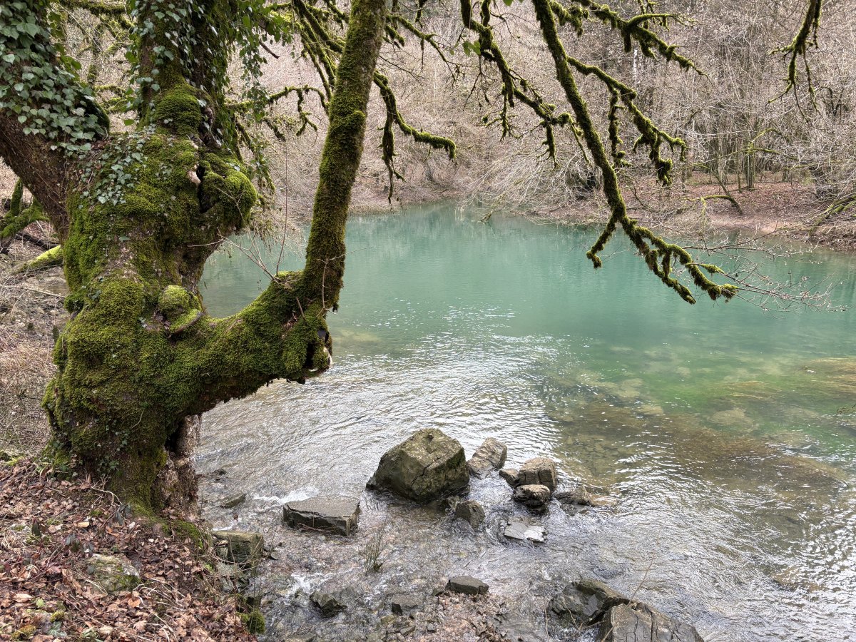 This is the far corner of the uber massive Cerknica Disappearing Lake..