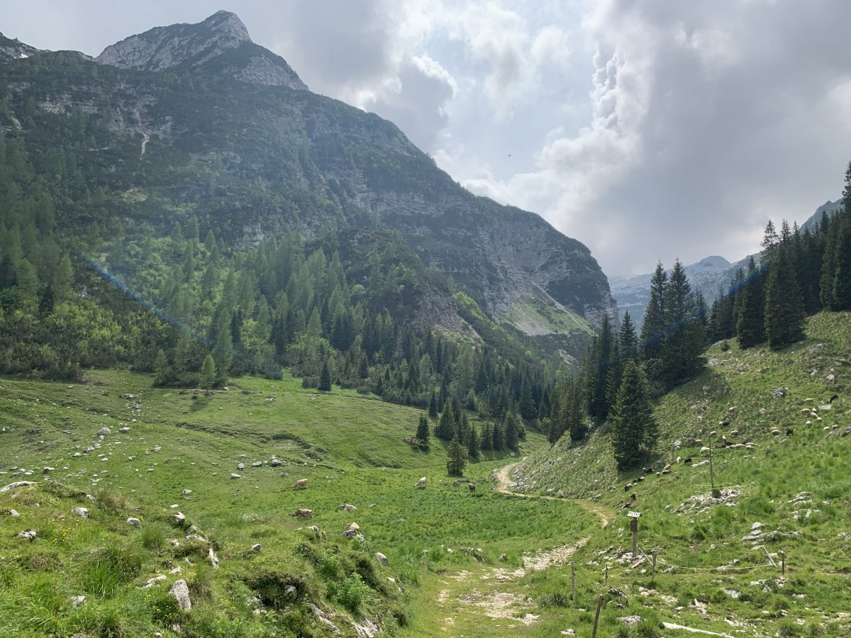 You haven't even been to Green Slovenia, if you ain't seen....