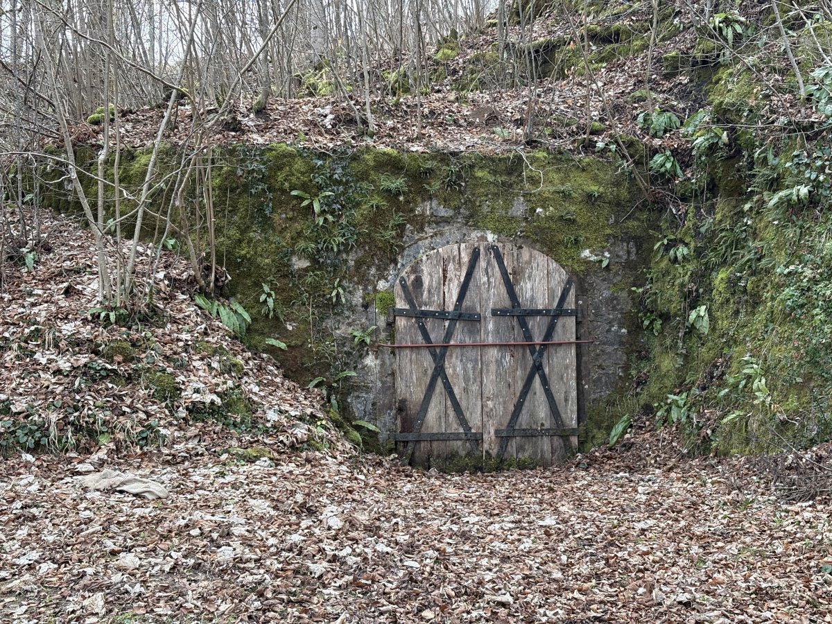 Large wooden doors to a secret Ice cellar in the grounds..
