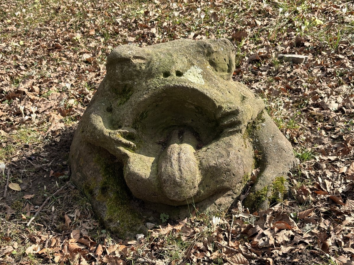 Check out this cheeky frog in the gardens..