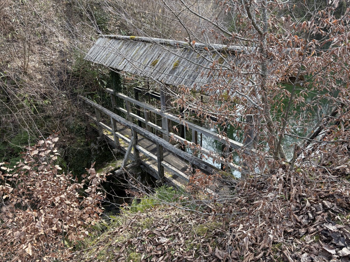 A secret wooden bridge crosses the moat to the back of the castle..