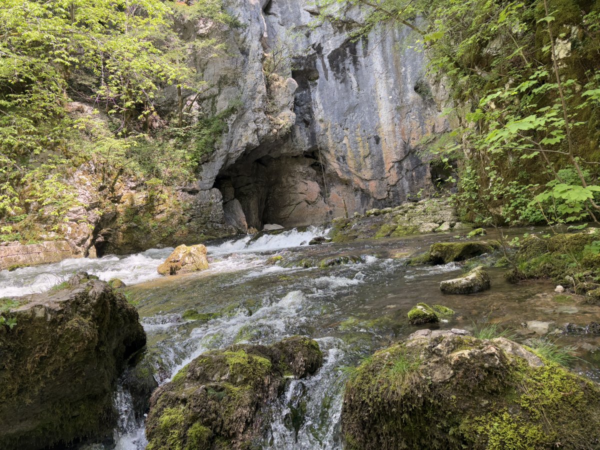 If you haven't hiked Rakov Skocjan, then you ain't even been to Green Slovenia, Baby..