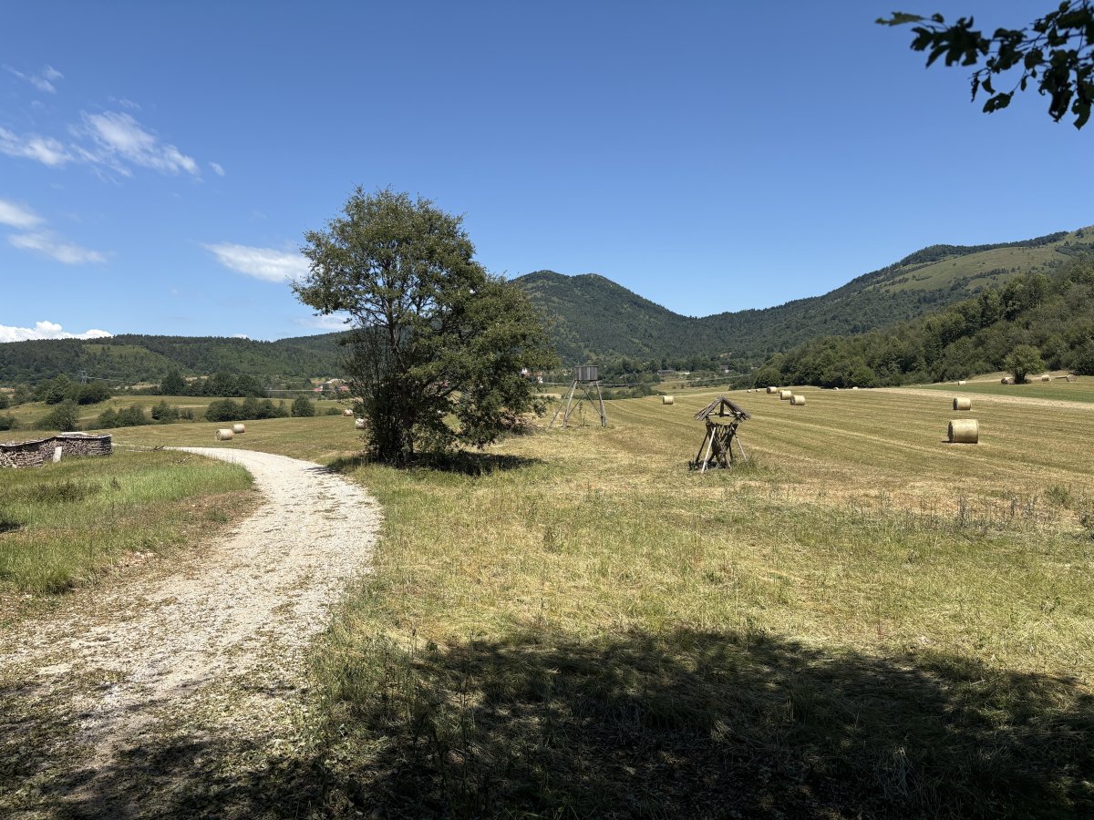 Endless hiking and biking in Green Paradise..