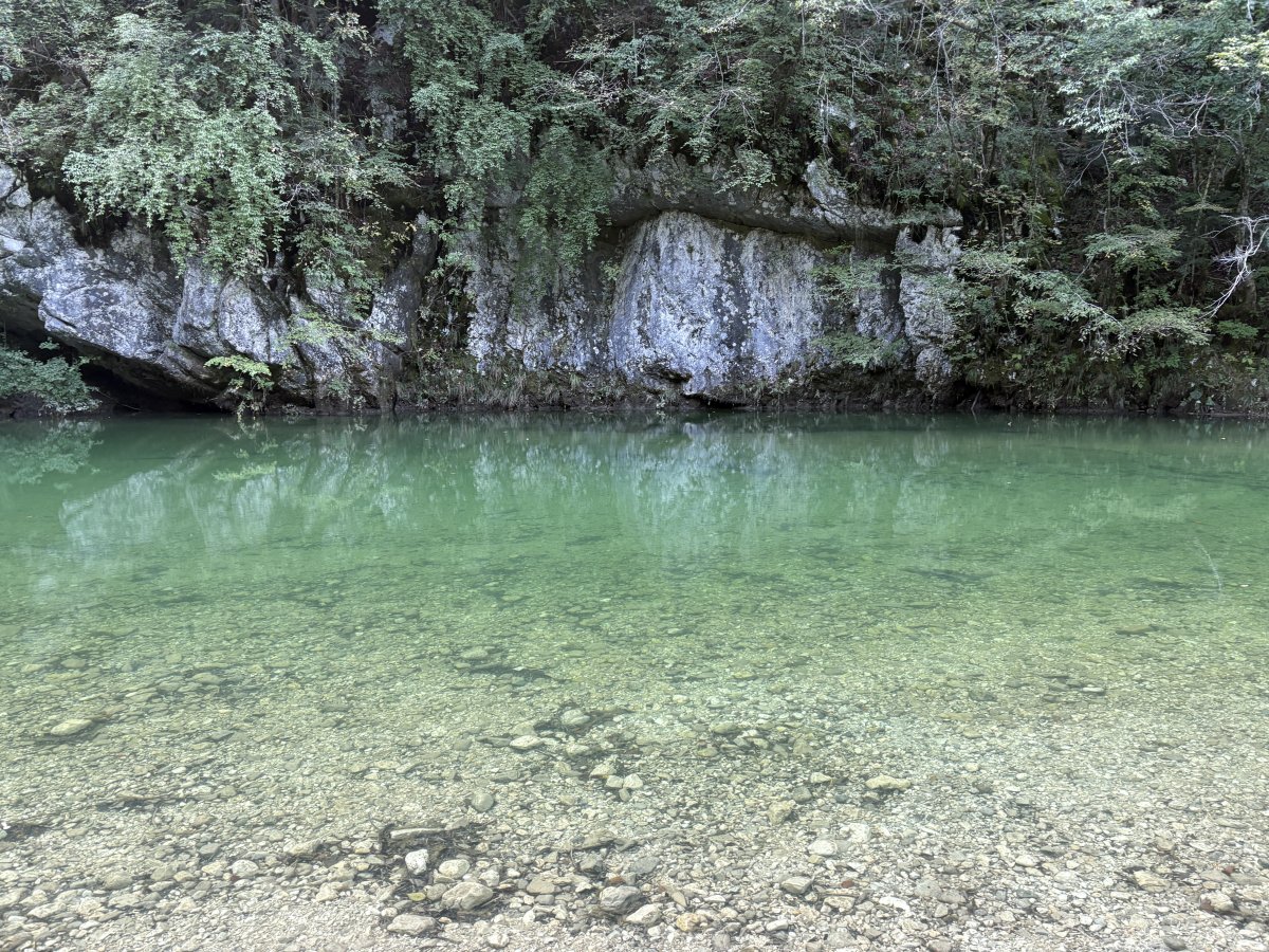 This is why we call it all Green Slovenia, Baby..
