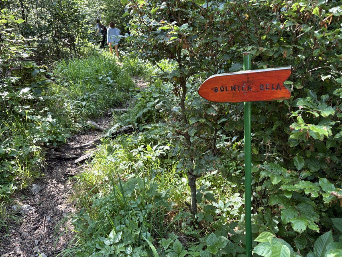 Finding a secret WW2 Partisan hospital hidden in the  Green Slovenian forest..